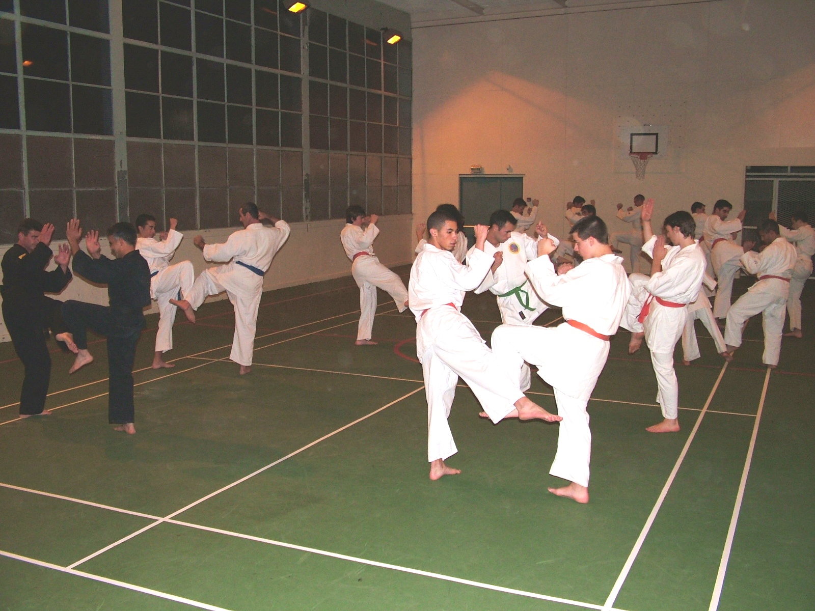 Cours collectif de Viet Quyên Thuât — travail des techniques en ligne